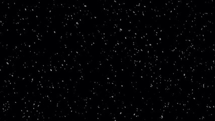 Nature snow falling on black background. Small snow flakes over dark night. Realistic snow fall overlay- Snow flakes slowly falling densely across a black background. Snow falling a new year winter. - Powered by Adobe