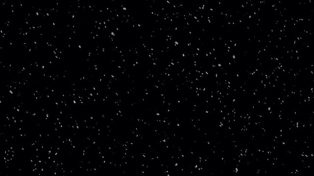 Nature snow falling on black background. Small snow flakes over dark night. Realistic snow fall overlay- Snow flakes slowly falling densely across a black background. Snow falling a new year winter.
