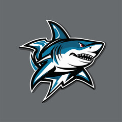 illustration of a shark as a mascot