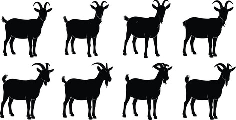 Silhouette of goats, farm animal vector, wildlife illustration, nature theme, black and white design, livestock poses, graphic art, Adobe Stock