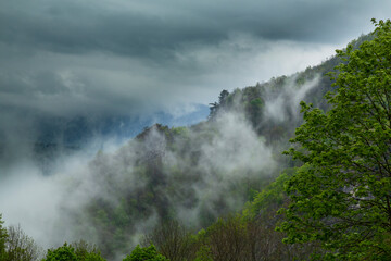 Mist and storm clouds in the Carpathian Mountains in spring