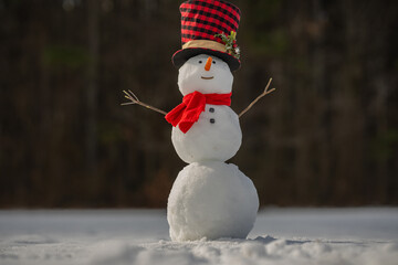 Snowman on winter card. Playful snowman outdoors. Winter holiday. Snowman in snowfall. Winter vacation vibes. Cute snowman in snow. Christmas and New Year. Winter theme.