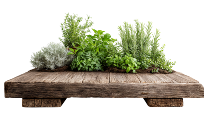 Wooden podium with fresh green herbs isolated on transparent background — high-resolution PNG cutout pedestal for product display, cosmetics and skincare branding, natural packaging mockups