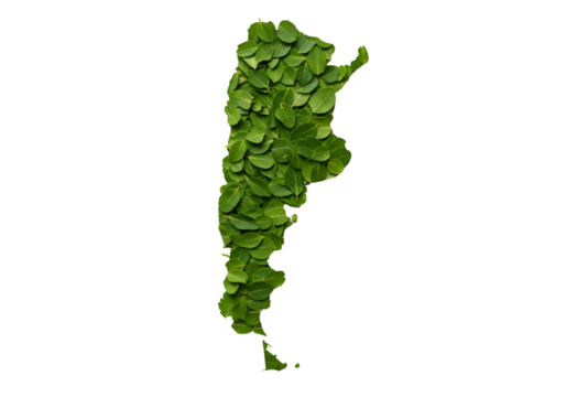 Illustration Argentina Map Shape of Green Leaves Isolated on Transparent Background