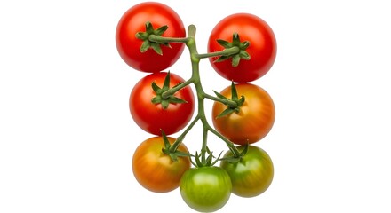Vine ripened cherry tomatoes isolated on white background