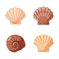 Collection of Four Seashell Illustrations in Various Shapes and Colors on White, Flat vector 