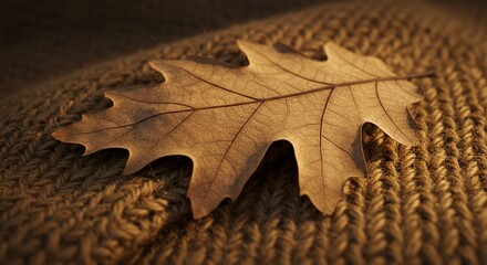 A close-up photograph of a single, dried oak leaf resting on knitted fabric.