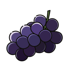 ぶどう