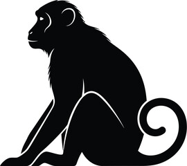 Fototapeta premium A silhouette of a monkey sits serenely, its thoughtful gaze and curled tail captured in a timeless vector illustration of primate intelligence