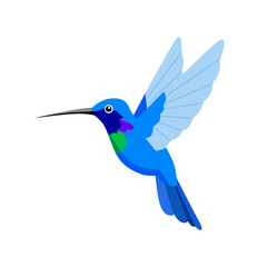 Colorful vector illustration of a flying hummingbird with blue and green feathers. Bright and vibrant design perfect for nature, wildlife, or tropical themes