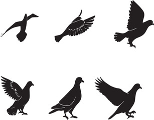Obraz premium silhouettes of birds