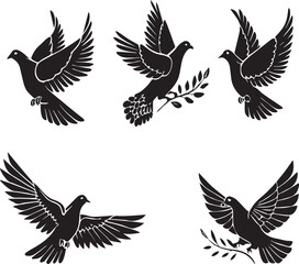 Fototapeta premium set of pigeon 