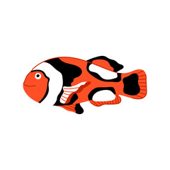 colorful clown fish cartoon vector illustration
