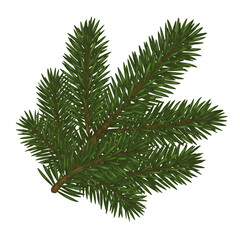 Naklejka premium Isolated Fir Branch Illustration With Green Needles and Brown Twig