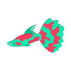 discus exotic fish cartoon vector illustration