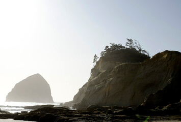 rock in the sea, rocks, trees, and the sea, eerie scene on the beach, Oregon seascape