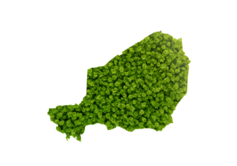 Isolated Green Forest Map of Mali Against a Black Transparent Background