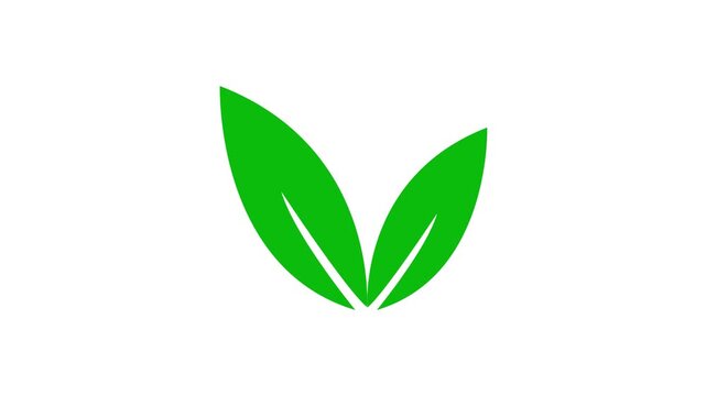Tree leaves icon animation on white background. plant leaf tree leaves flying on wind motion graphics. tree leaves icon symbol CO2 4k video footage.
