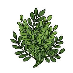 Isolated Green Foliage Illustration with Natural Leaves on Transparent Background