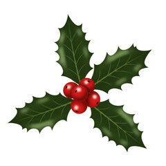 Isolated Holly Berries And Green Leaves Illustration Against Transparent Background
