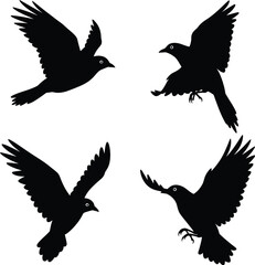 modern detailed professional high quality Four Black Silhouettes of Birds in Flight on Transparent Background