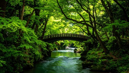 Lush forest stream with arched bridge
