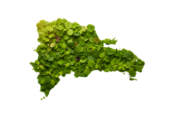 Isolated Dominican Republic Map Illustration with Green Leaves Overlay on Transparent Background