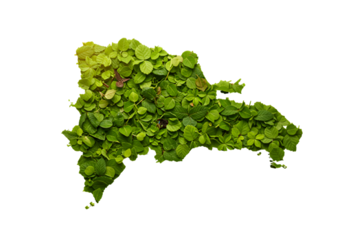 Isolated Dominican Republic Map Illustration with Green Leaves Overlay on Transparent Background