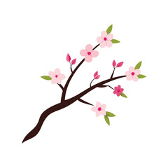 Fototapeta premium Watercolor cherry blossom branch on white background for nature or Japanese culture designs