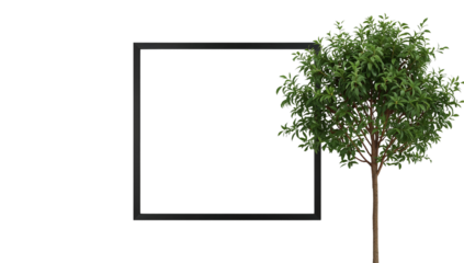Contemporary botanical composition with graphic rectangular frame and a vibrant green tree