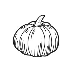 Hand drawn pumpkin illustration for autumn festivities