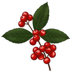 Isolated Illustration of Red Berries and Green Leaves with Transparent Background