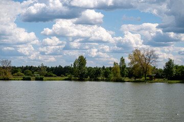 Obraz premium Scenic Lake Shore with Trees and Cloudy Blue Sky