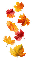 Obraz premium Vibrant autumn leaves swirling in a vertical composition