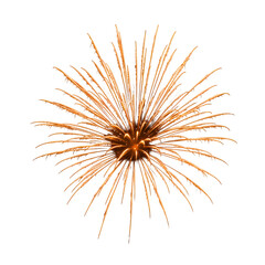 Isolated Orange Burst Firework Illustration on Black Background