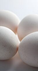 Photo of White Eggs Displaying Freshness and Texture with Macro Focus