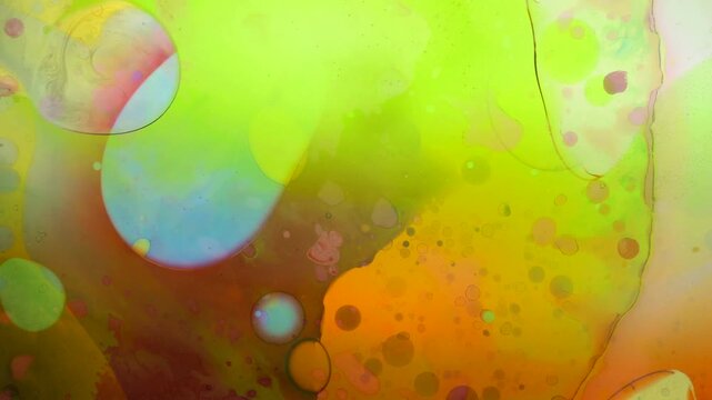 Authentic psychedelic liquid light show using the same methods as 1960's and 1970's projections at classic acid rock shows. Light art. 4 of 14 in a series that seamlessly connect.