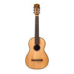 Obraz premium acoustic guitar isolated on white