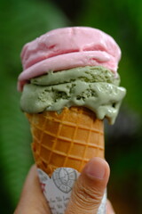a hand holding strawberry and matcha flavored gelato ice cream