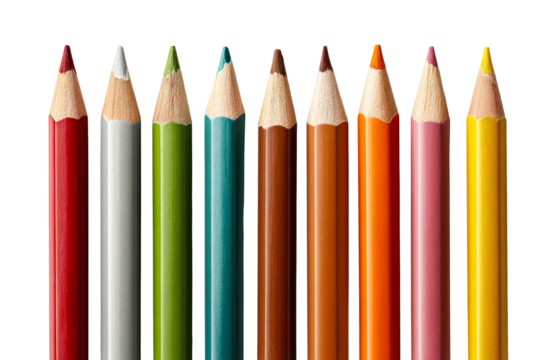 Colorful pencils arranged in a vibrant lineup