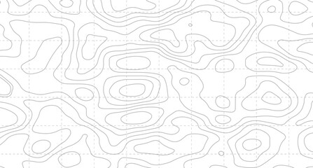 Abstract wavy background. topographic contour background. Abstract gray topography contour map background design.