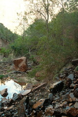 Peaceful cliffs and green scenery and waterfall droplets at zion national park utah in summer time in july 