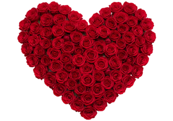 Heart shape made of red roses isolated on transparent background