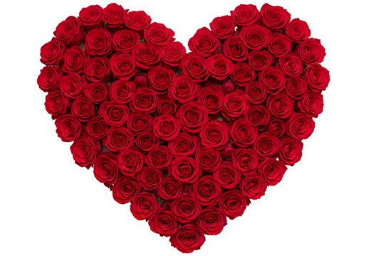 Heart shape made of red roses isolated on transparent background