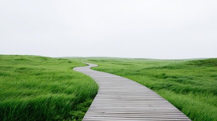 Obraz premium Winding wooden pathway through lush green grass landscape under a cloudy sky, inviting exploration and connection with nature's tranquility
