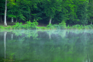 Morning fog on the lake. Beautiful view. Gosh lake. Armenia