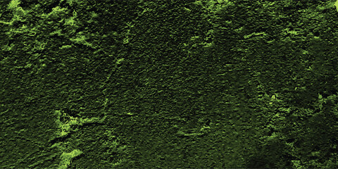 Abstract green textured background of dense foliage featuring a patterned and detailed lush appearance perfect for design elements