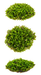 Fototapeta premium Photorealistic Image of Three Isolated Green Moss Clusters with White Background