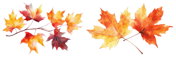 Obraz premium PNG Vibrant watercolor autumn leaves illustration, element set on transparent background
