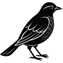 Obraz premium Bird Silhouette